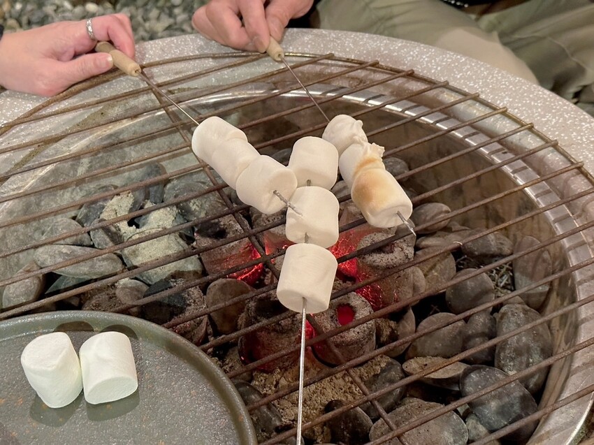 台北懶人豪華露營《趣兒Chill：藍鵲菲菲》一泊三食！清晨被日出美景、藍鵲叫聲喚醒，陽明山露營入住山林菲