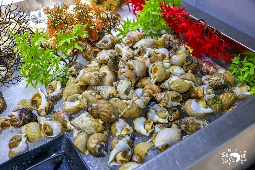 【桃園燒烤】吃肉肉燒肉専門店,桃園燒肉吃到飽推薦!