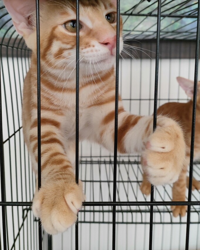 住宿 |想去海邊玩距離墾丁白沙灣很近的夏日風情獨棟民宿, 恆春 墾丁峰晴民宿-海灣館