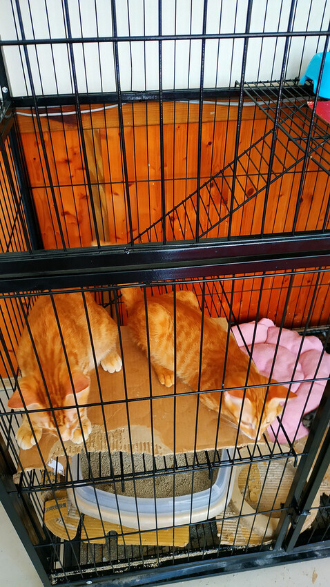 想去海邊玩距離墾丁白沙灣很近的夏日風情獨棟民宿, 恆春 墾丁峰晴民宿-海灣館 29.jpg 想去海邊玩距離墾丁白沙灣很近的夏日風情獨棟民宿, 恆春 墾丁峰晴民宿-海灣館 29.jpg