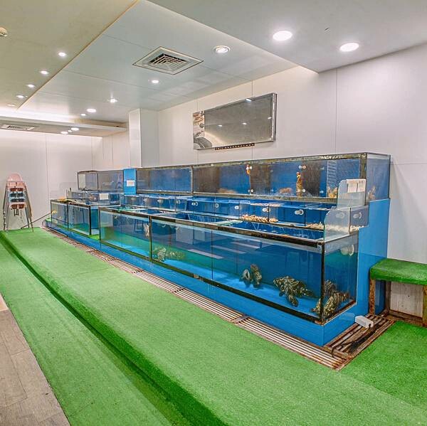 新北 土城區 九鼎-渝川食府 蒸鍋 聚餐餐廳 川菜 5.jpeg