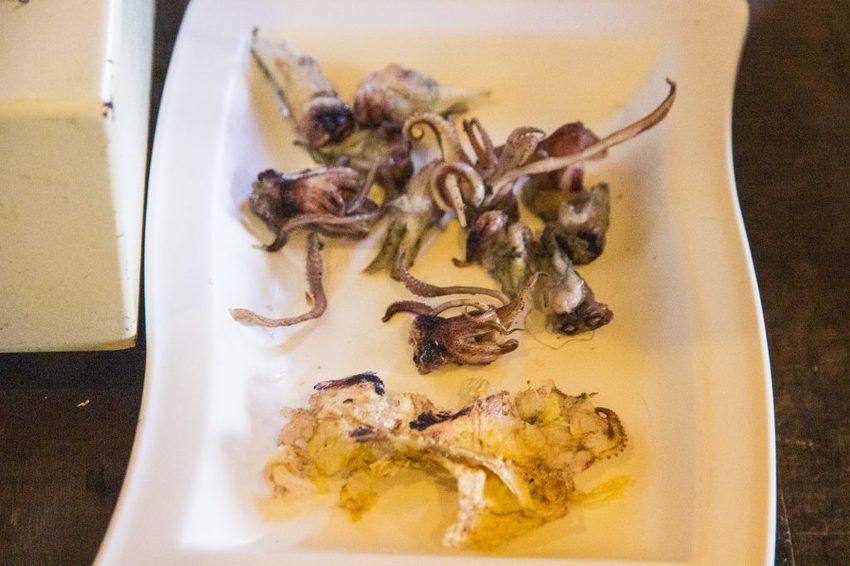 【宜蘭景點】五結景點/溪和三代目觀光工廠~DIY飯糰與海鮮押片,親子同遊雨天備案好選擇