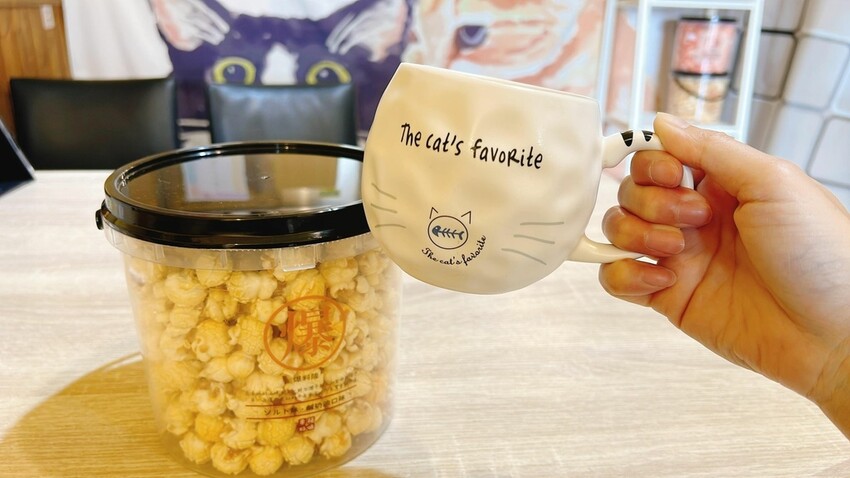 [北投美食推薦]港人創業的80後碼頭#80後碼頭 #無限續杯 #咖啡廳 #早午餐 #下午茶 #桌遊 #寵物友善餐廳 #外