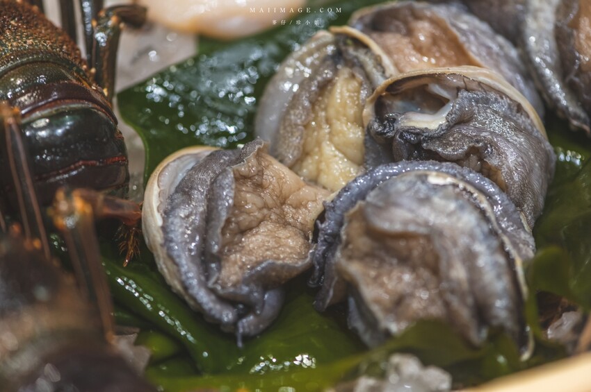 台北美食｜魚貫鐵板燒～日式懷石鐵板燒的天花板，老闆又出大絕招1800元可以吃16道菜，這合理嗎？中山區鐵板