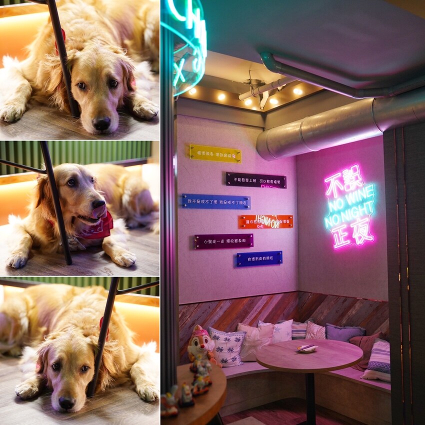 【私嚐小聚】新竹最新最美的寵物友善餐酒館正式試營運啦!復古懷舊氛圍搭配一道道誘人的料理,絕對是三五好友的聚餐新選擇!(菜單/營業時間/電話/地址) - 阿華田的美食日記