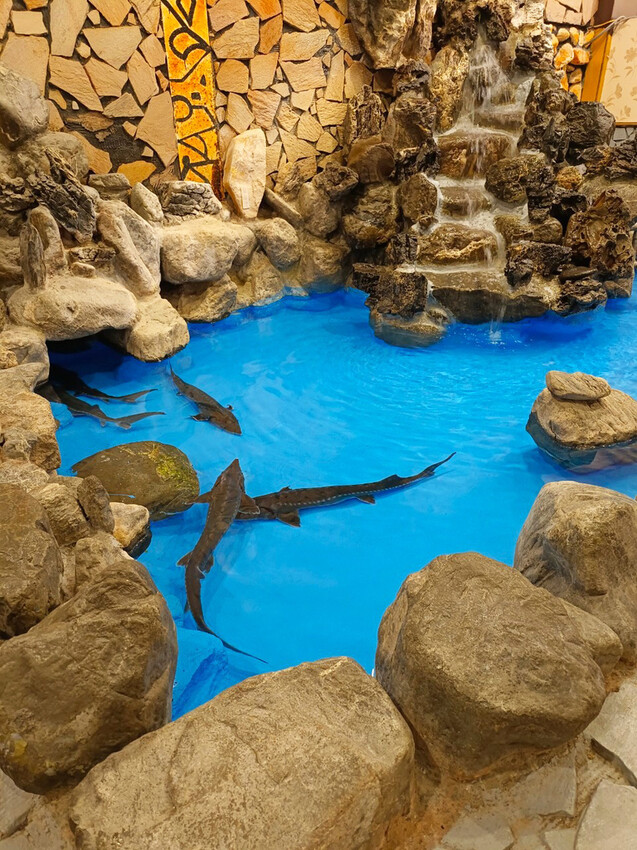 屏東潮州聞香閣宴會美食餐廳,屏東喜宴婚宴外燴辦桌推薦13.jpg 屏東潮州聞香閣宴會美食餐廳,屏東喜宴婚宴外燴辦桌推薦13.jpg