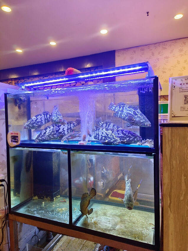 屏東潮州聞香閣宴會美食餐廳,屏東喜宴婚宴外燴辦桌推薦14.jpg 屏東潮州聞香閣宴會美食餐廳,屏東喜宴婚宴外燴辦桌推薦14.jpg