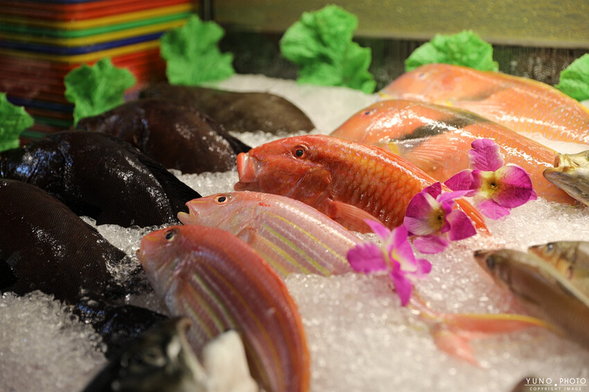 台南市安平區浮誇古早味龍蝦三明治！視覺與味覺都大飽口福 新鮮現撈活海產 超人氣台南海鮮餐廳/桌菜酒席/家庭聚餐｜海鮮