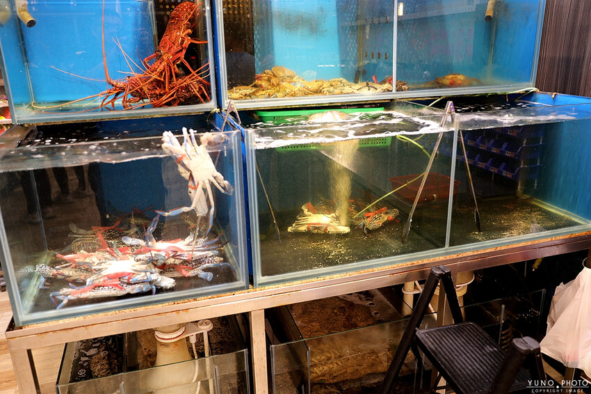 台南市安平區浮誇古早味龍蝦三明治！視覺與味覺都大飽口福 新鮮現撈活海產 超人氣台南海鮮餐廳/桌菜酒席/家庭聚餐｜海鮮