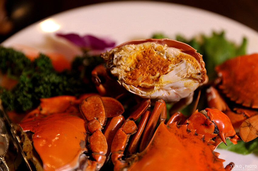 台南市安平區浮誇古早味龍蝦三明治！視覺與味覺都大飽口福 新鮮現撈活海產 超人氣台南海鮮餐廳/桌菜酒席/家庭聚餐｜海鮮