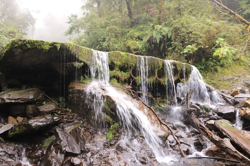 登山露營。宜蘭加羅湖 兩天兩夜登山體驗，我人生第一座中級山秘境 x 奧丁丁在地體驗