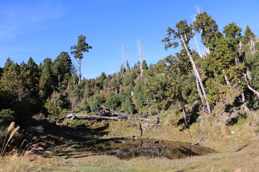 登山露營。宜蘭加羅湖 兩天兩夜登山體驗，我人生第一座中級山秘境 x 奧丁丁在地體驗