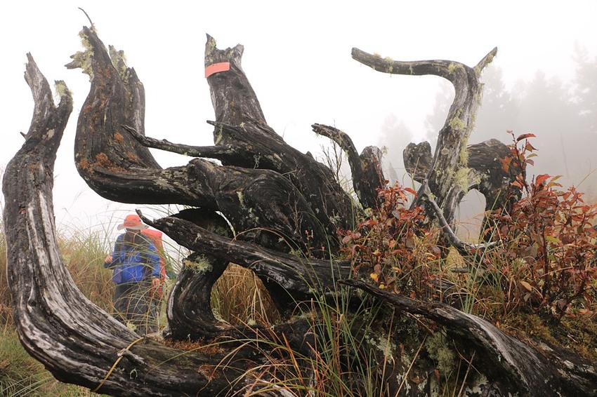 登山露營。宜蘭加羅湖 兩天兩夜登山體驗，我人生第一座中級山秘境 x 奧丁丁在地體驗