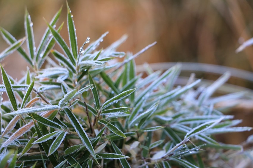 登山露營。宜蘭加羅湖 兩天兩夜登山體驗，我人生第一座中級山秘境 x 奧丁丁在地體驗