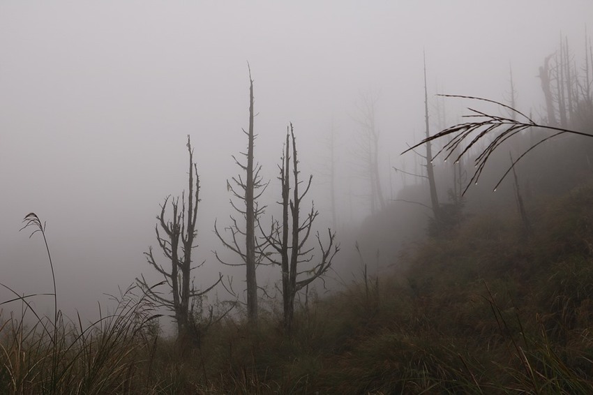登山露營。宜蘭加羅湖 兩天兩夜登山體驗，我人生第一座中級山秘境 x 奧丁丁在地體驗