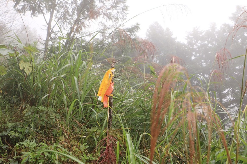 登山露營。宜蘭加羅湖 兩天兩夜登山體驗，我人生第一座中級山秘境 x 奧丁丁在地體驗