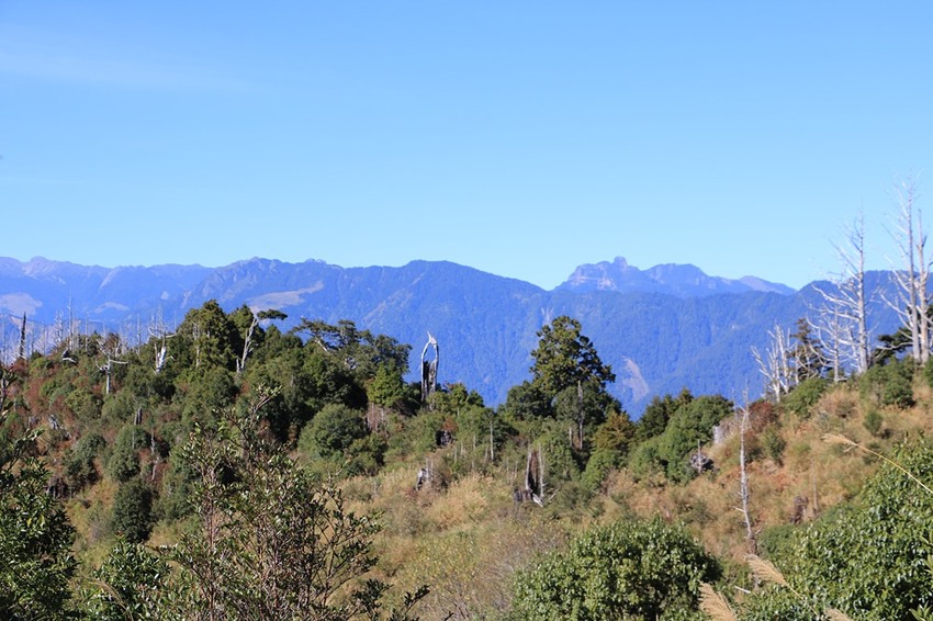 登山露營。宜蘭加羅湖 兩天兩夜登山體驗，我人生第一座中級山秘境 x 奧丁丁在地體驗