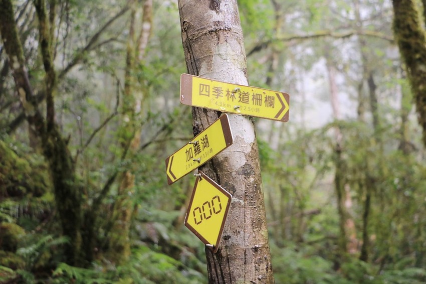 登山露營。宜蘭加羅湖 兩天兩夜登山體驗，我人生第一座中級山秘境 x 奧丁丁在地體驗