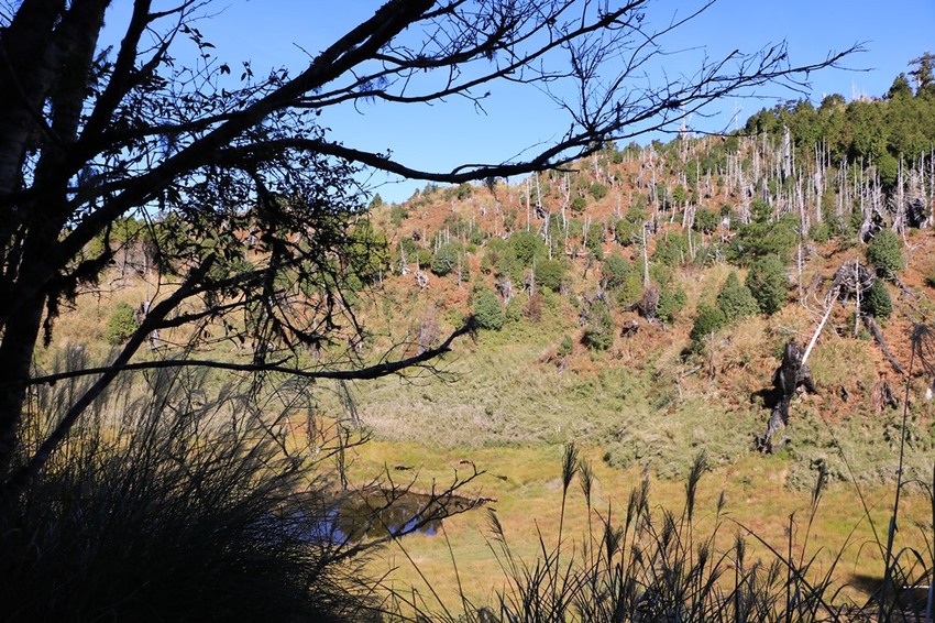 登山露營。宜蘭加羅湖 兩天兩夜登山體驗，我人生第一座中級山秘境 x 奧丁丁在地體驗