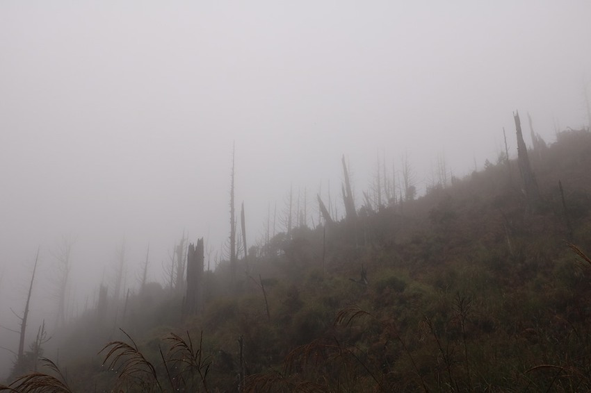 登山露營。宜蘭加羅湖 兩天兩夜登山體驗，我人生第一座中級山秘境 x 奧丁丁在地體驗