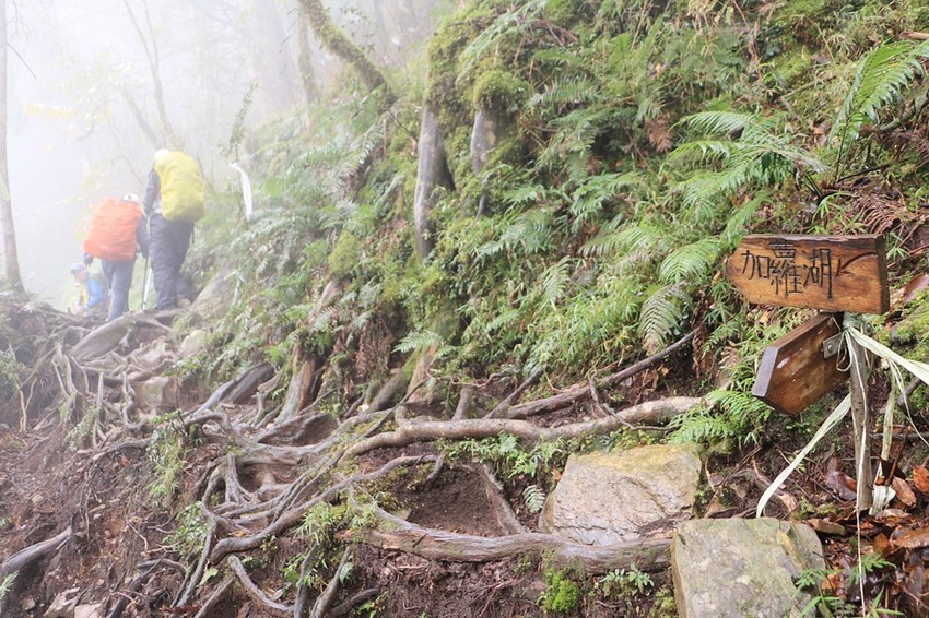 登山露營。宜蘭加羅湖 兩天兩夜登山體驗，我人生第一座中級山秘境 x 奧丁丁在地體驗