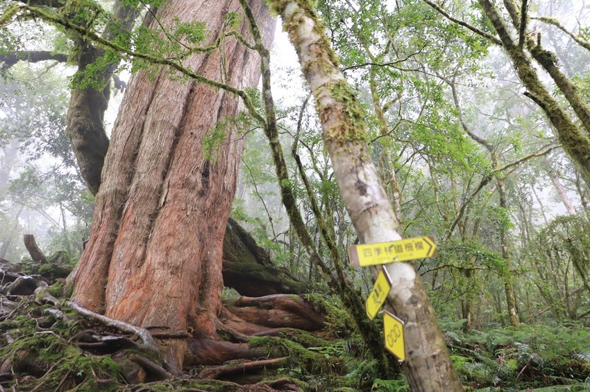 登山露營。宜蘭加羅湖 兩天兩夜登山體驗，我人生第一座中級山秘境 x 奧丁丁在地體驗