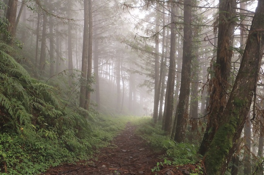 登山露營。宜蘭加羅湖 兩天兩夜登山體驗，我人生第一座中級山秘境 x 奧丁丁在地體驗