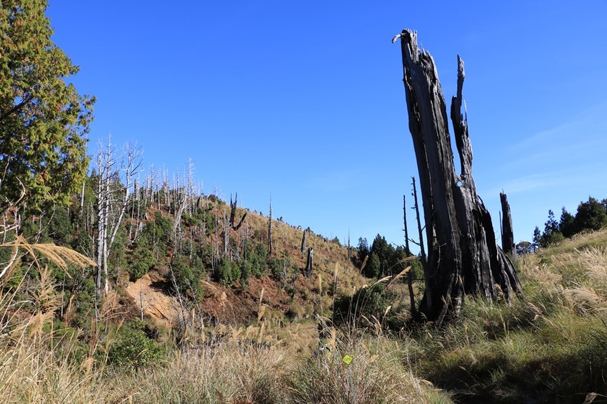 登山露營。宜蘭加羅湖 兩天兩夜登山體驗，我人生第一座中級山秘境 x 奧丁丁在地體驗