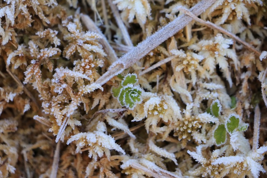 登山露營。宜蘭加羅湖 兩天兩夜登山體驗，我人生第一座中級山秘境 x 奧丁丁在地體驗