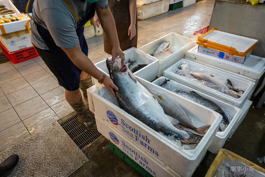 桃園超優質生魚片推薦!鄰居阿姨們吃了開始暴動要求開團啦~魚肉又厚又新鮮還超便宜啊!就算藏在新永和市場裡也無法掩蓋住新鮮滿點CP值突破天際線的超美味生魚片喔! @圍事小哥的幸福相框 桃園超優質生魚片推薦!鄰居阿姨們吃了開始暴動要求開團啦~魚肉又厚又新鮮還超便宜啊!就算藏在新永和市場裡也無法掩蓋住新鮮滿點CP值突破天際線的超美味生魚片喔! @圍事小哥的幸福相框