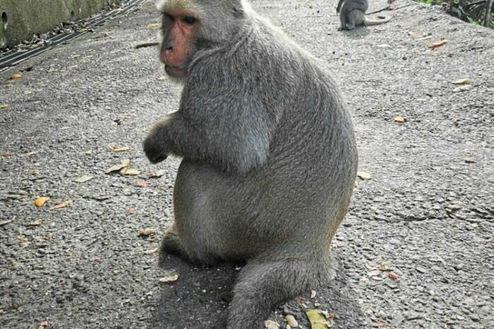 台南。七股》曉蝶海產店。龍山宮前份量十足的平價海產店