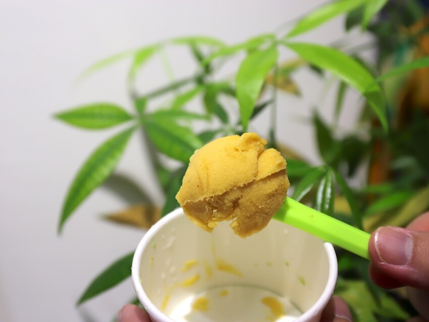 植朵 輕甜品-西港店:隱藏台南西港的創新甜點飲料店.茶飲甜湯冰品奶酪通通有/冰淇淋雪酪多達百種口味.奶酪甜嫩迷人 - 進食的巨鼠