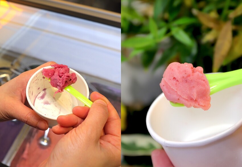 植朵 輕甜品-西港店:隱藏台南西港的創新甜點飲料店.茶飲甜湯冰品奶酪通通有/冰淇淋雪酪多達百種口味.奶酪甜嫩迷人 - 進食的巨鼠