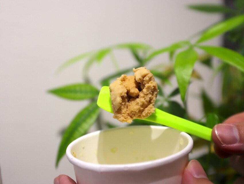 植朵 輕甜品-西港店:隱藏台南西港的創新甜點飲料店.茶飲甜湯冰品奶酪通通有/冰淇淋雪酪多達百種口味.奶酪甜嫩迷人 - 進食的巨鼠