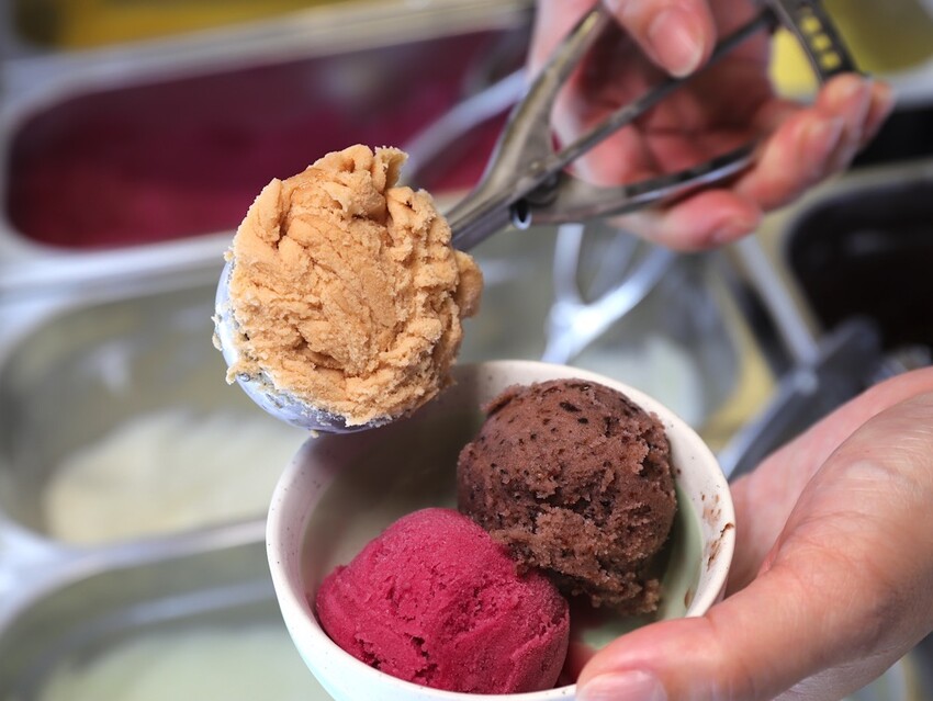 植朵 輕甜品-西港店:隱藏台南西港的創新甜點飲料店.茶飲甜湯冰品奶酪通通有/冰淇淋雪酪多達百種口味.奶酪甜嫩迷人 - 進食的巨鼠