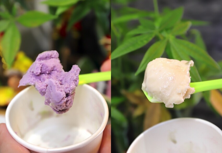 植朵 輕甜品-西港店:隱藏台南西港的創新甜點飲料店.茶飲甜湯冰品奶酪通通有/冰淇淋雪酪多達百種口味.奶酪甜嫩迷人 - 進食的巨鼠
