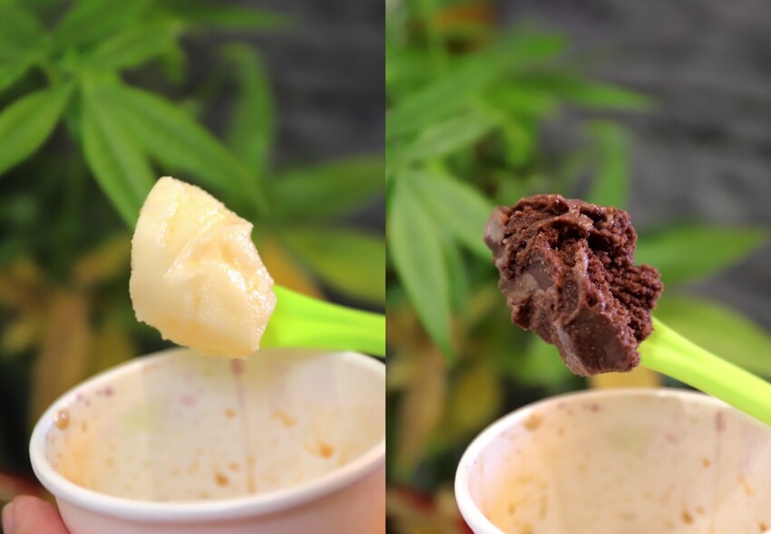 植朵 輕甜品-西港店:隱藏台南西港的創新甜點飲料店.茶飲甜湯冰品奶酪通通有/冰淇淋雪酪多達百種口味.奶酪甜嫩迷人 - 進食的巨鼠