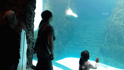 HL_2_06.gif
