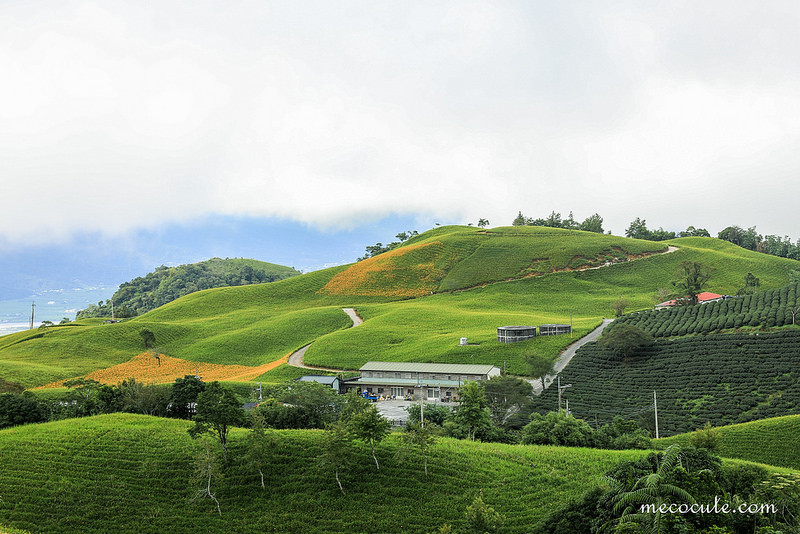 @陳小可的吃喝玩樂