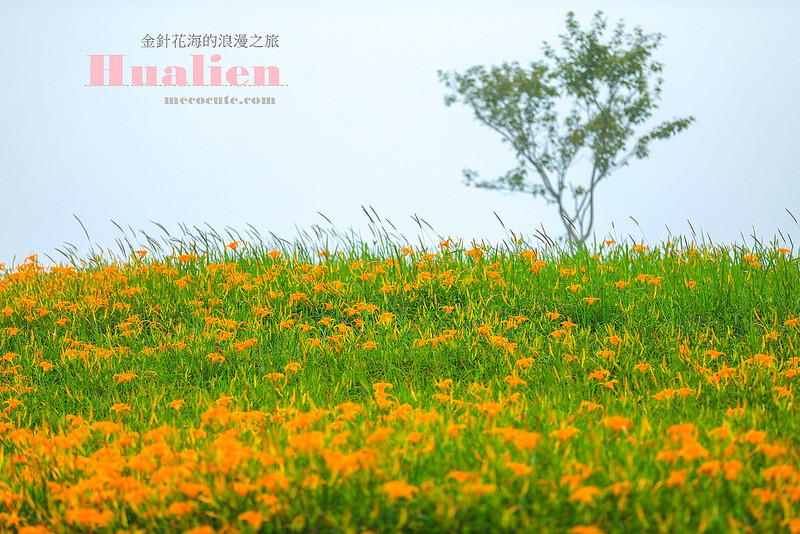 @陳小可的吃喝玩樂