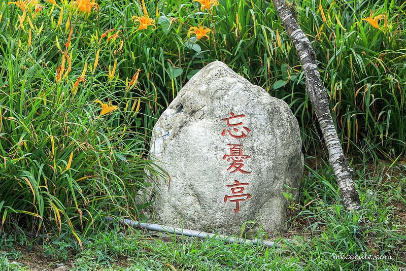 @陳小可的吃喝玩樂