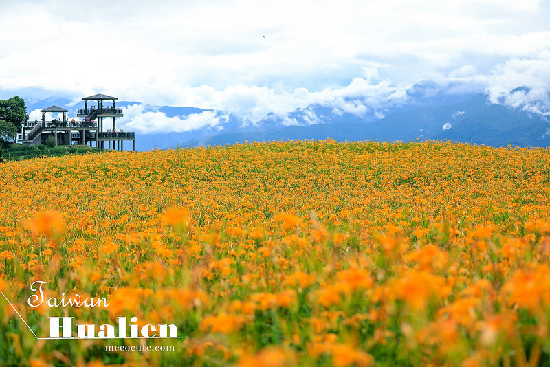 @陳小可的吃喝玩樂