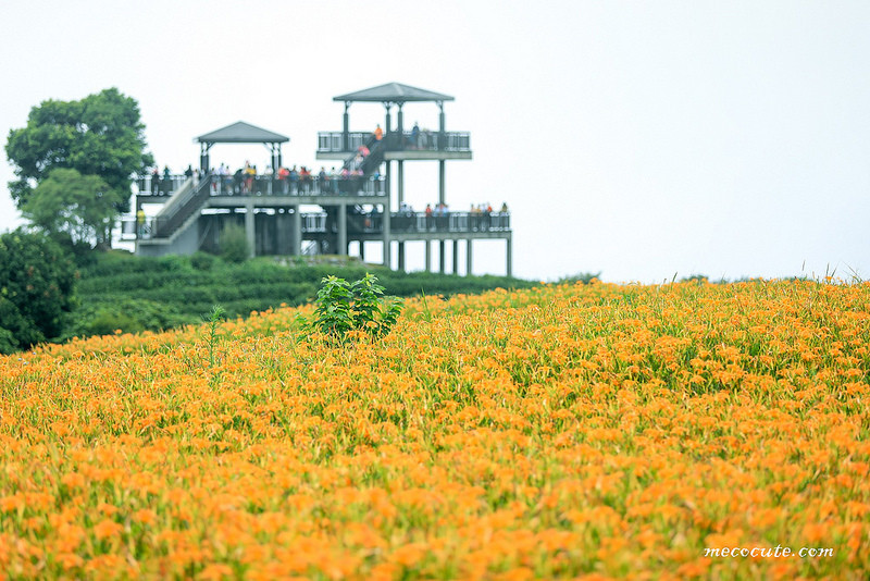 @陳小可的吃喝玩樂