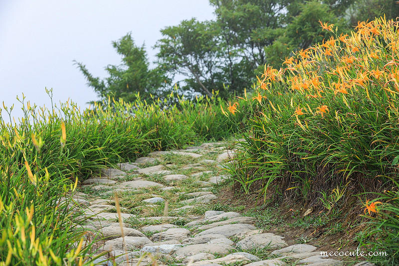 @陳小可的吃喝玩樂