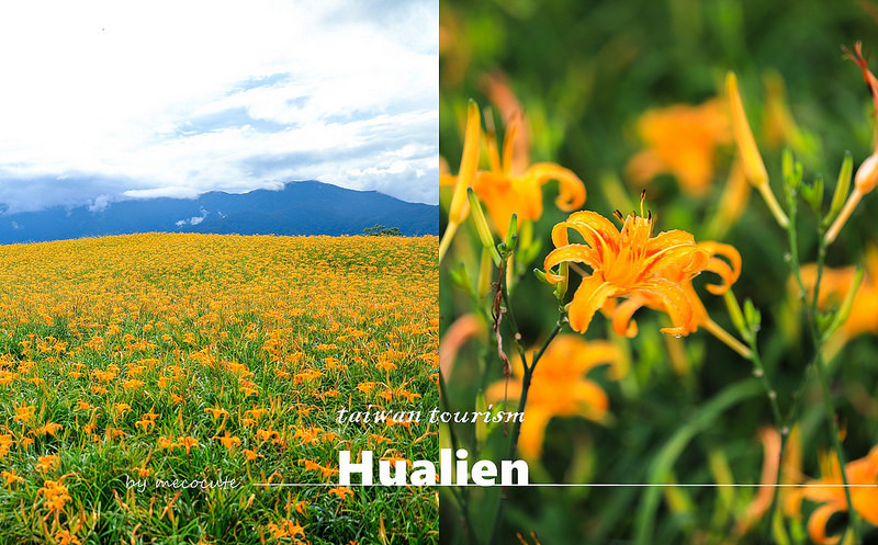 @陳小可的吃喝玩樂