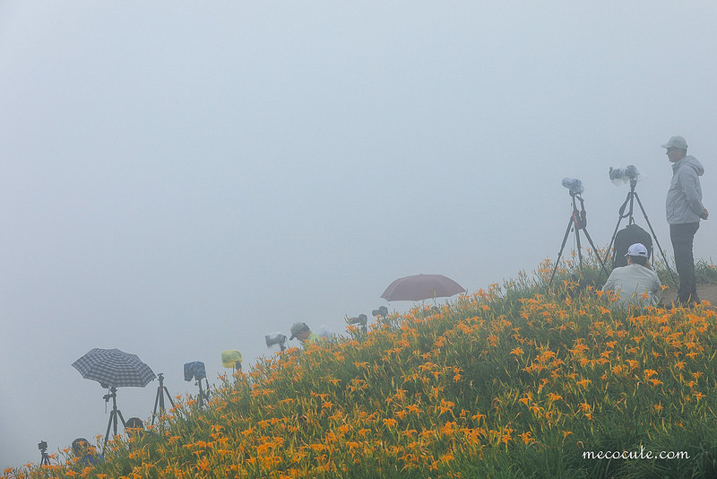 @陳小可的吃喝玩樂