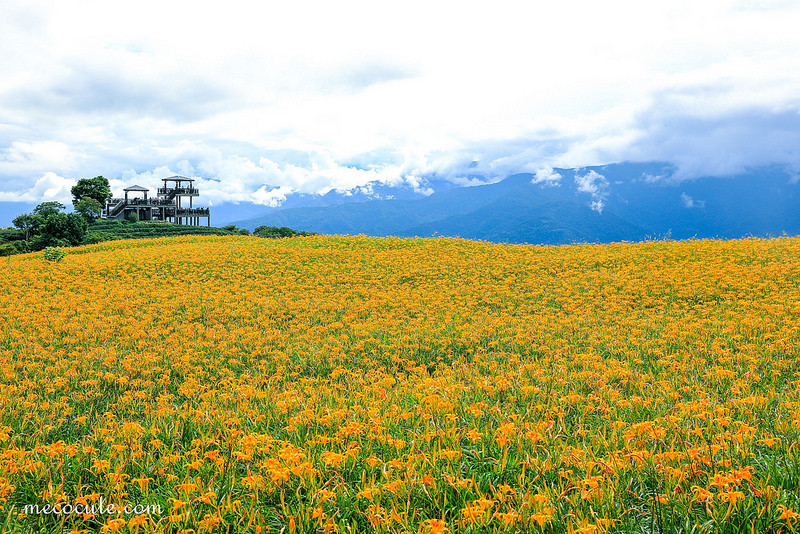 @陳小可的吃喝玩樂