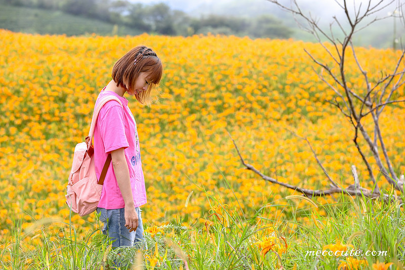 @陳小可的吃喝玩樂