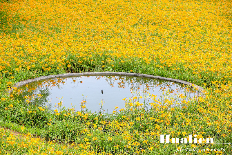 @陳小可的吃喝玩樂