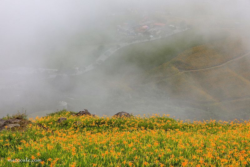 @陳小可的吃喝玩樂